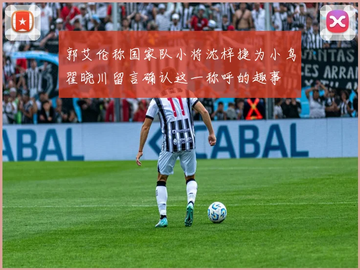 郭艾伦称国家队小将沈梓捷为小鸟翟晓川留言确认这一称呼的趣事